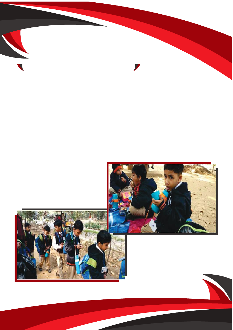 OMK Newsletter, December 2018, page 3 background