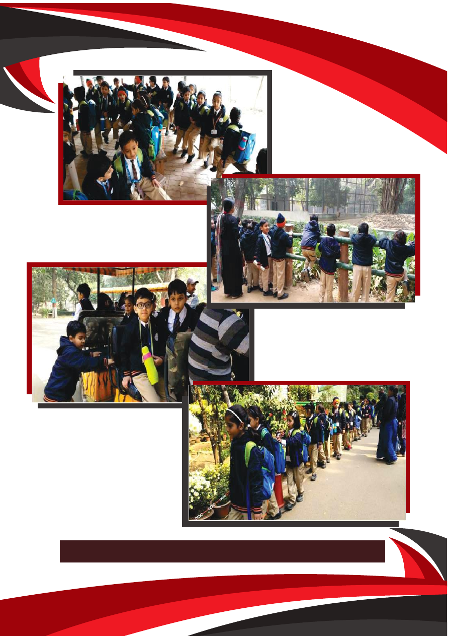 OMK Newsletter, December 2018, page 4 background