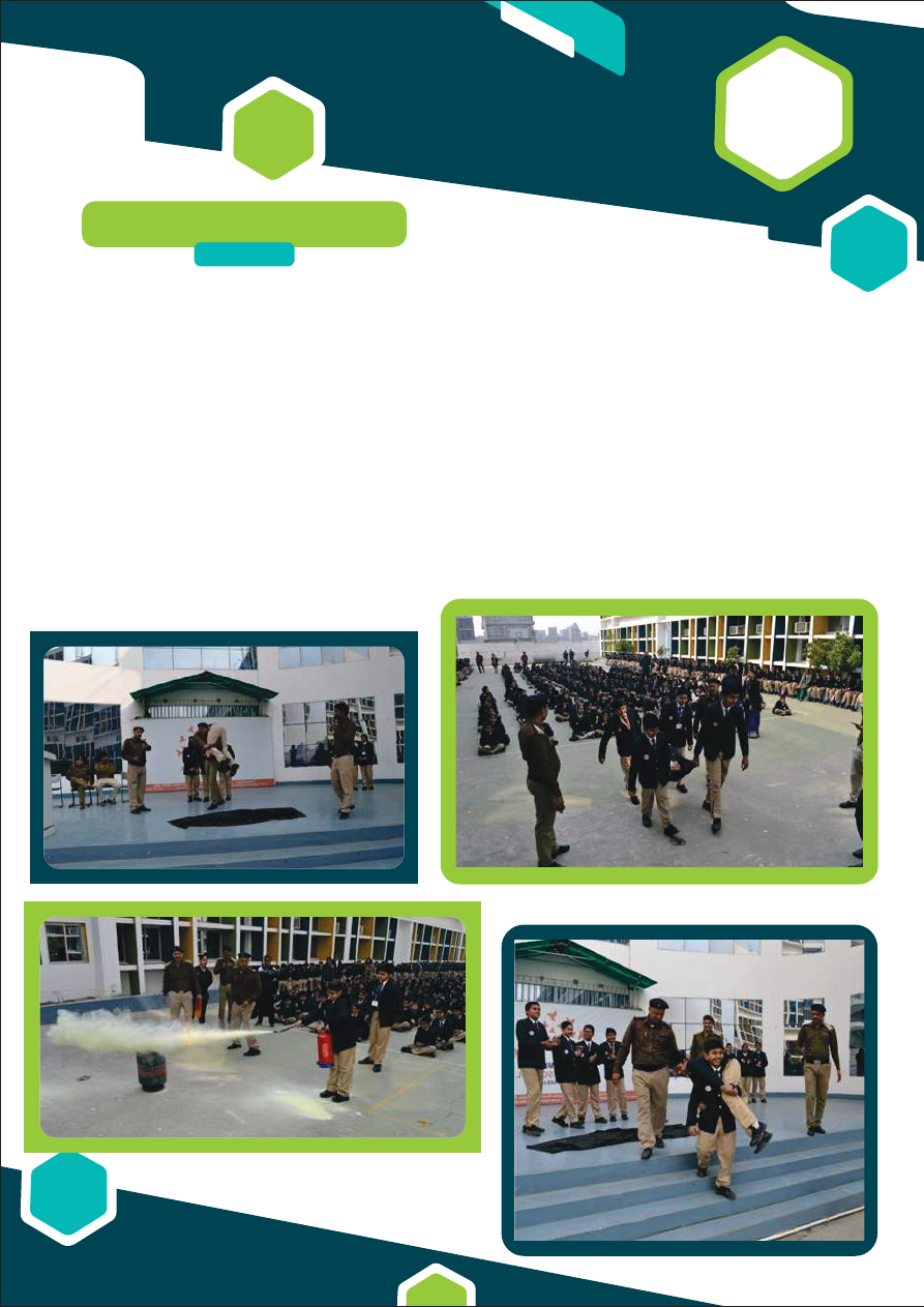 OMK Newsletter, January 2019, page 4 background