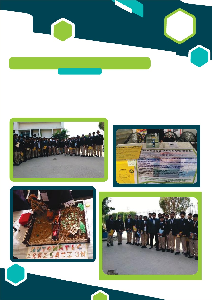 OMK Newsletter, January 2019, page 7 background