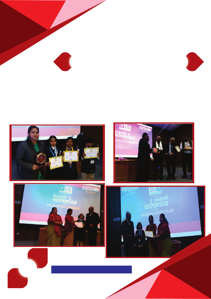OMK Newsletter, February & March 2019, page 3 background